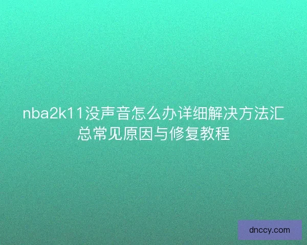 nba2k11没声音怎么办详细解决方法汇总常见原因与修复教程