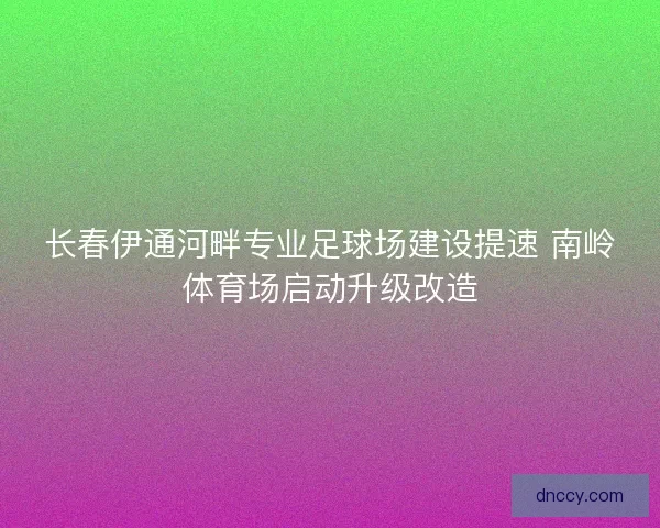 长春伊通河畔专业足球场建设提速 南岭体育场启动升级改造